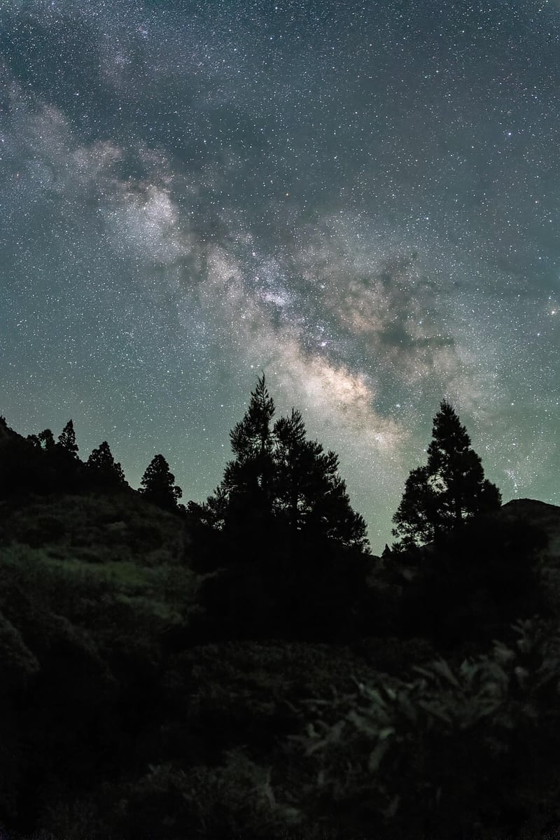 Milky Way Veils